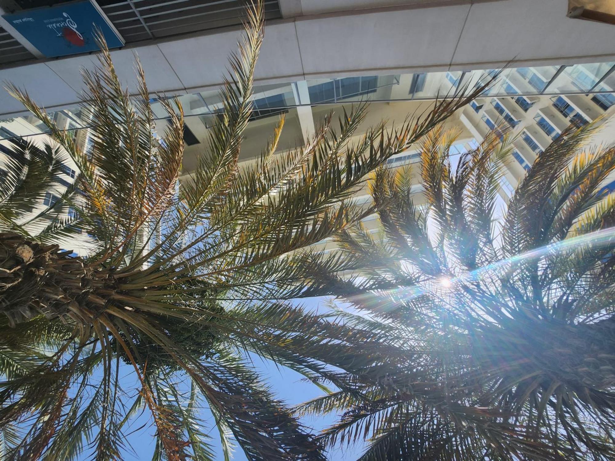 Marjan Island Beautiful Apartment Sea Side View Beach Luxury Rooms Ras Al Khaimah Uae Εξωτερικό φωτογραφία