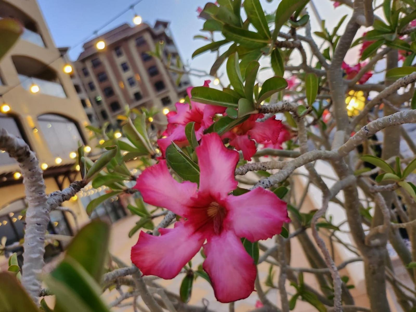 Marjan Island Beautiful Apartment Sea Side View Beach Luxury Rooms Ras Al Khaimah Uae Εξωτερικό φωτογραφία